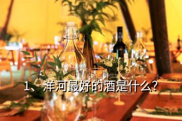 1、洋河最好的酒是什么？