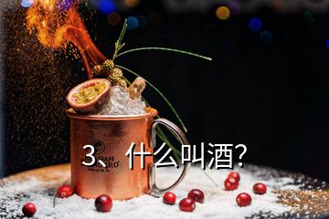 3、什么叫酒？
