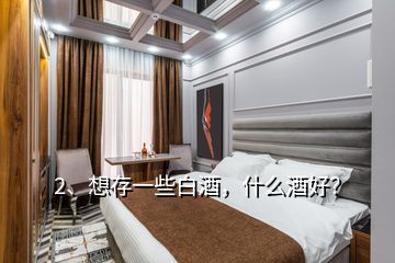 2、想存一些白酒，什么酒好？