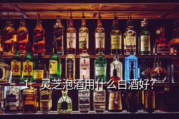 1、靈芝泡酒用什么白酒好？