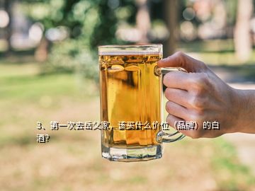 3、第一次去岳父家，該買什么價位（品牌）的白酒？
