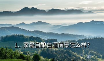 1、家庭自釀白酒前景怎么樣？