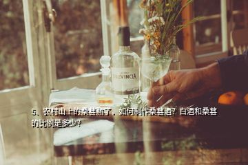 5、農(nóng)村山上的桑葚熟了，如何制作桑葚酒？白酒和桑葚的比例是多少？
