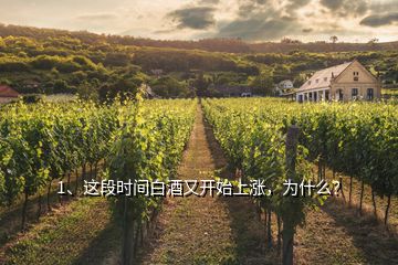 1、這段時間白酒又開始上漲，為什么？