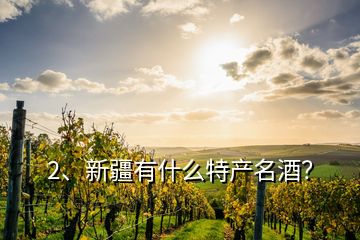 2、新疆有什么特產(chǎn)名酒？