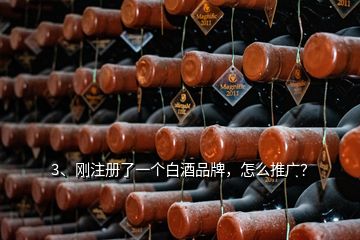 3、剛注冊(cè)了一個(gè)白酒品牌，怎么推廣？