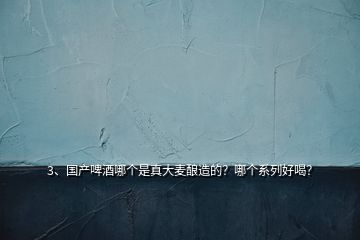 3、國產(chǎn)啤酒哪個是真大麥釀造的？哪個系列好喝？