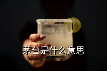 茅臺(tái)是什么意思