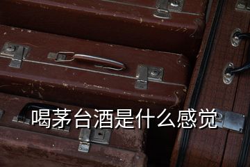 喝茅臺(tái)酒是什么感覺(jué)