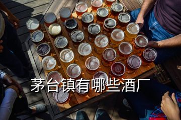 茅臺(tái)鎮(zhèn)有哪些酒廠