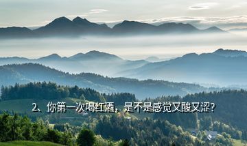 2、你第一次喝紅酒，是不是感覺又酸又澀？