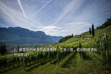 2、做菜用的啤酒你會選哪種，它多少度，和別的啤酒有什么不同？