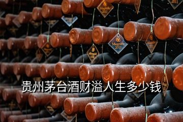 貴州茅臺酒財溢人生多少錢