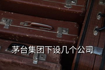 茅臺(tái)集團(tuán)下設(shè)幾個(gè)公司