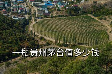 一瓶貴州茅臺(tái)值多少錢