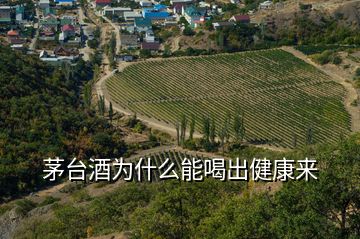 茅臺(tái)酒為什么能喝出健康來