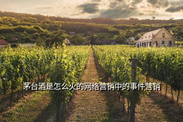 茅臺酒是怎么火的網(wǎng)絡(luò)營銷中的事件營銷