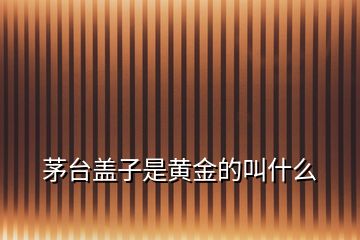 茅臺(tái)蓋子是黃金的叫什么