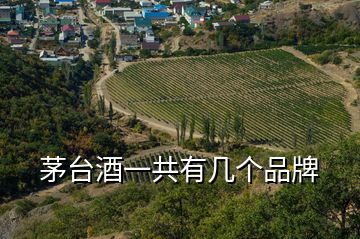 茅臺(tái)酒一共有幾個(gè)品牌