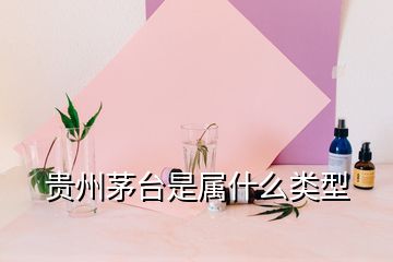 貴州茅臺(tái)是屬什么類型