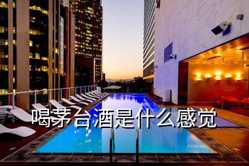 喝茅臺(tái)酒是什么感覺