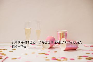 貴州茅臺(tái)出的 國(guó)酒一號(hào) 凈含量1L 酒精度53 07年的 高人指點(diǎn)一下價(jià)