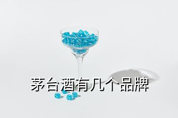 茅臺酒有幾個品牌