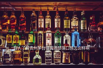 有人了解貴州茅臺鎮(zhèn)醬酒部落口感怎么樣啊