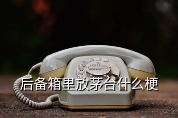 后備箱里放茅臺(tái)什么梗