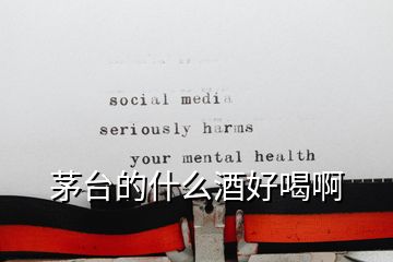 茅臺的什么酒好喝啊