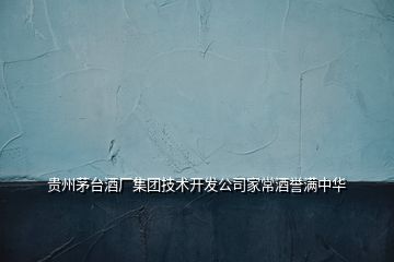 貴州茅臺酒廠集團技術(shù)開發(fā)公司家常酒譽滿中華