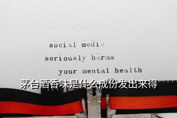 茅臺(tái)酒香味是什么成份發(fā)出來(lái)得