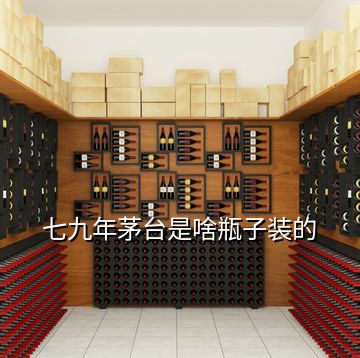 七九年茅臺是啥瓶子裝的