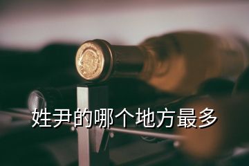 姓尹的哪個地方最多
