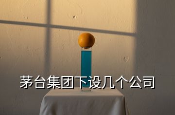 茅臺集團下設(shè)幾個公司