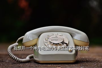 我想開(kāi)一個(gè)神舟電腦的專賣店店名叫啥好呢