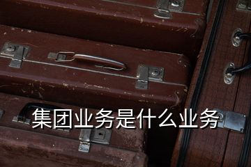 集團業(yè)務(wù)是什么業(yè)務(wù)