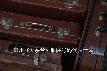 貴州飛天茅臺(tái)酒瓶底號(hào)碼代表什么