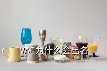 VAE為什么會(huì)出名