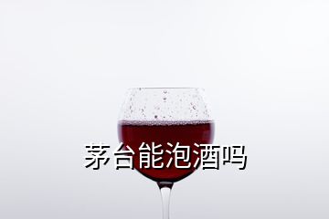 茅臺(tái)能泡酒嗎