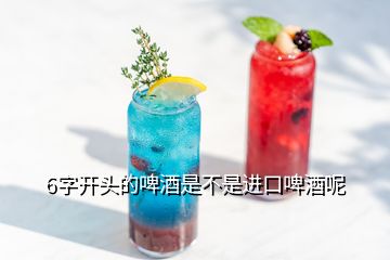 6字開頭的啤酒是不是進口啤酒呢