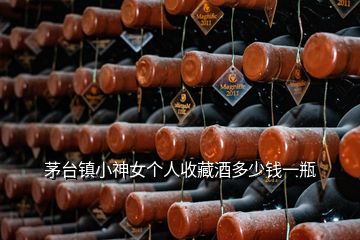 茅臺(tái)鎮(zhèn)小神女個(gè)人收藏酒多少錢一瓶