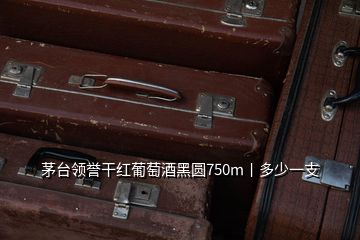 茅臺領譽干紅葡萄酒黑圓750m丨多少一支