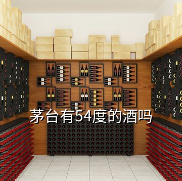 茅臺(tái)有54度的酒嗎