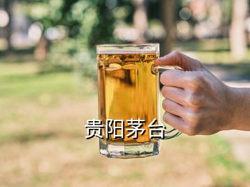 貴陽茅臺(tái)