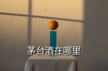 茅臺(tái)酒在哪里