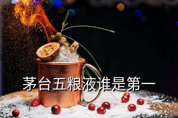 茅臺(tái)五糧液誰(shuí)是第一
