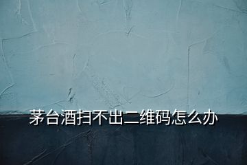 茅臺(tái)酒掃不出二維碼怎么辦