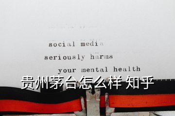 貴州茅臺怎么樣 知乎