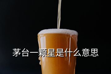 茅臺(tái)一顆星是什么意思